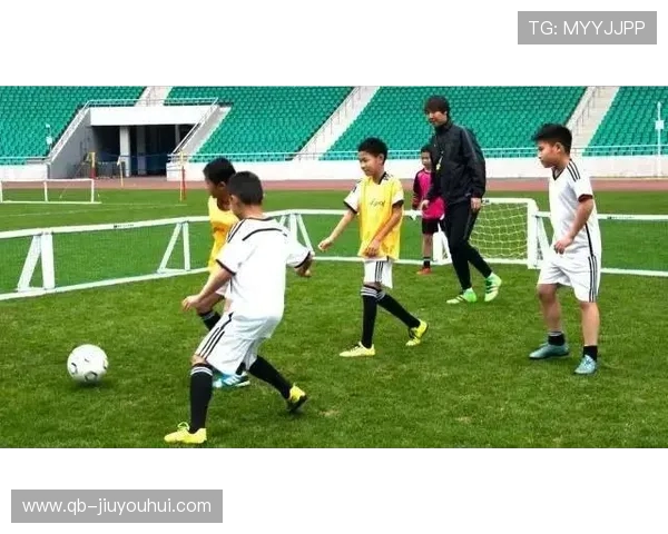 地上足球斗鱼养殖技巧及环境布置全面指南